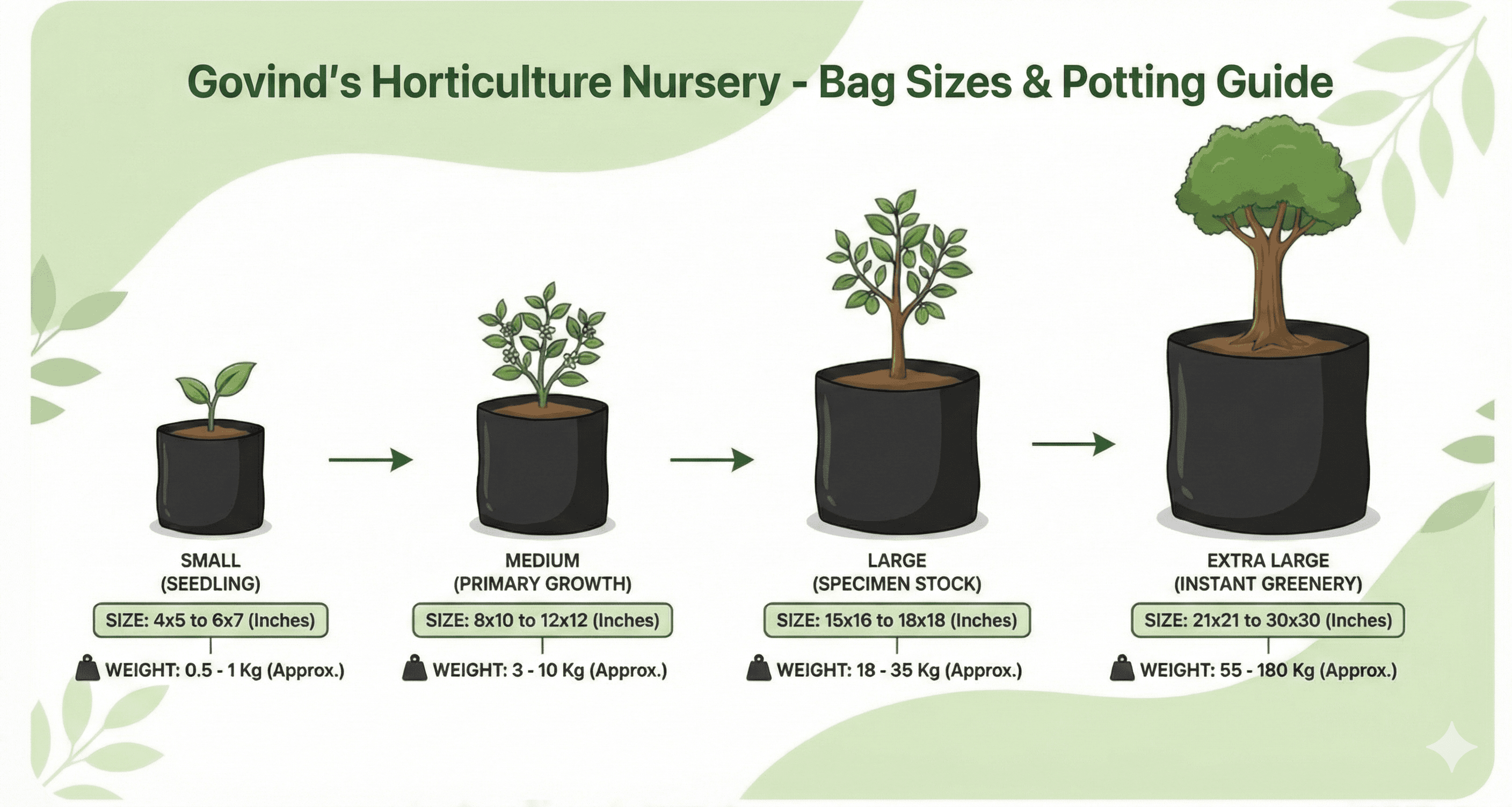 Bag Sizes & Potting Guide - Small (Seedling), Medium (Primary Growth), Large (Specimen Stock), Extra Large (Instant Greenery)